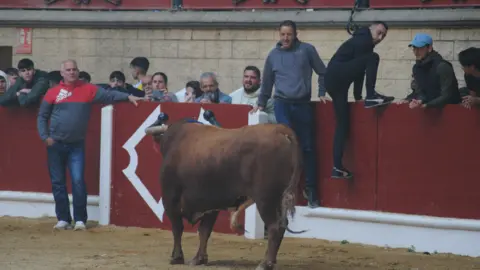 Toro Embolao domingo 2