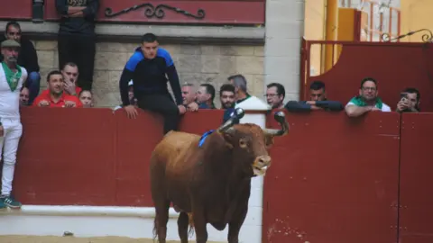 Toro Embolao domingo 5