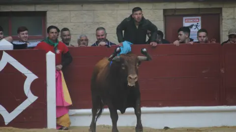 Toro Embolao domingo 8
