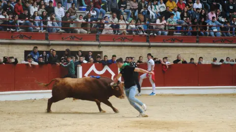 Toro Embolao domingo 11