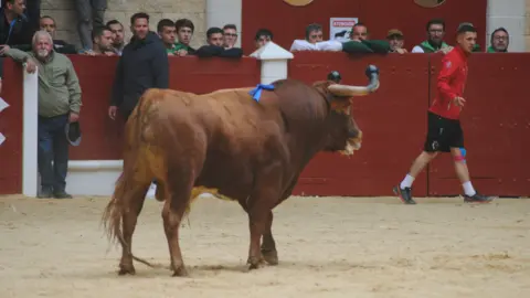 Toro Embolao domingo 14