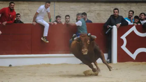 Toro Embolao domingo 15