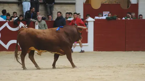 Toro Embolao domingo 22