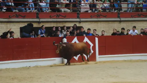 Toro Embolao domingo 24