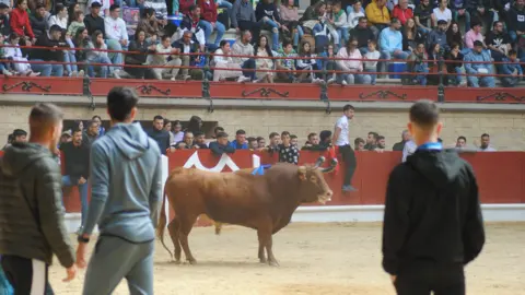 Toro Embolao domingo 28