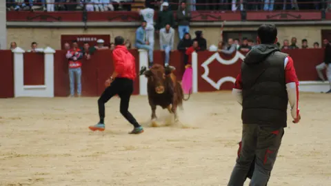 Toro Embolao domingo 33