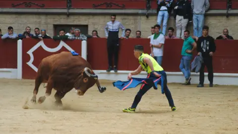 Toro Embolao domingo 38
