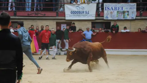 Toro Embolao domingo 39