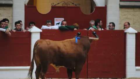 Toro Embolao domingo 40