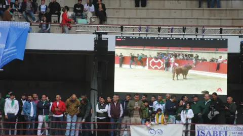 Toro Embolao domingo 42