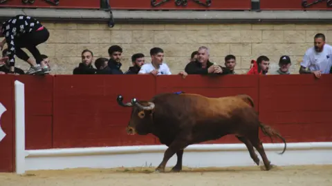 Toro Embolao domingo 44