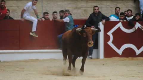 Toro Embolao domingo 49