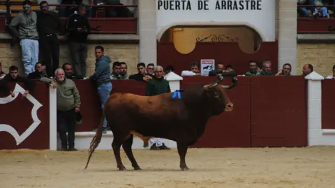 Toro Embolao domingo 50