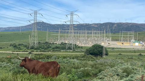 Los ecoligistas, contrarios a estos megaproyectos