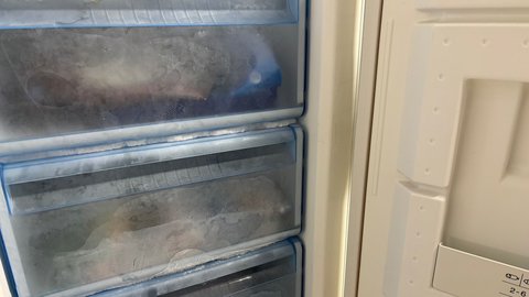 Alimentos congelados que han podido verse deteriorados por el apagón
