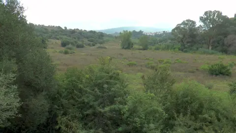 Terrenos sobre los que se proyecta el nuevo espacio ferial