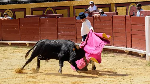 Ciclo de Becerradas en Algeciras 3.FOTO: &Aacute;lvaro Rodr&iacute;guez