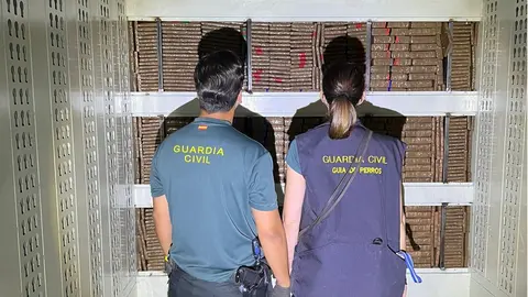 Estructura del camión donde viaja la droga oculta