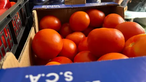 Algecireños Solidarios ya disponen de nueva cocina10