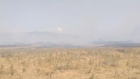Zona afectada por el incendio. FOTO - Infoca