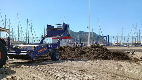 Limpieza de algas en las playas de La L&iacute;nea
