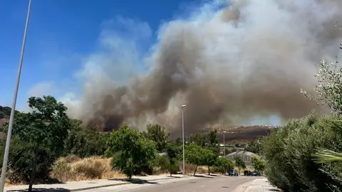 Las llamas se han propagado por el fuerte viento reinante. FOTO - Adrián Pelayo