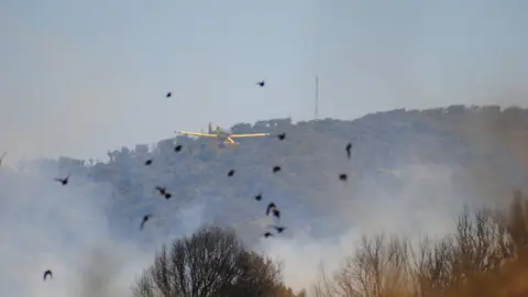 Incendio en Botafuegos 19