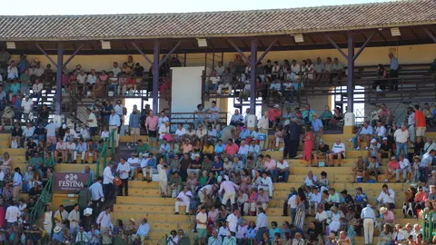 Toros en La Línea1