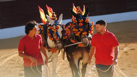 Toros en La Línea5