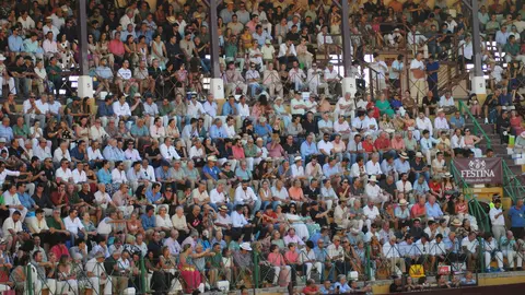 Toros en La Línea7
