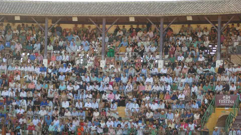 Toros en La Línea8