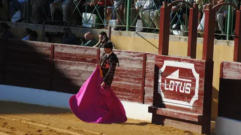 Toros en La Línea9