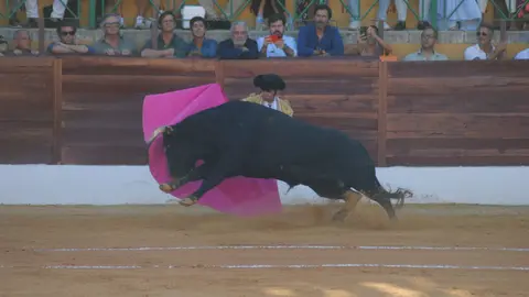 Toros en La Línea10