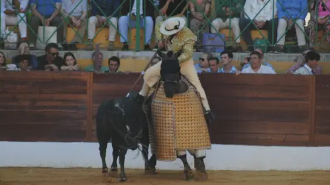 Toros en La Línea11