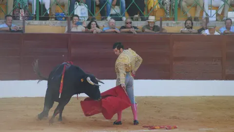 Toros en La Línea14