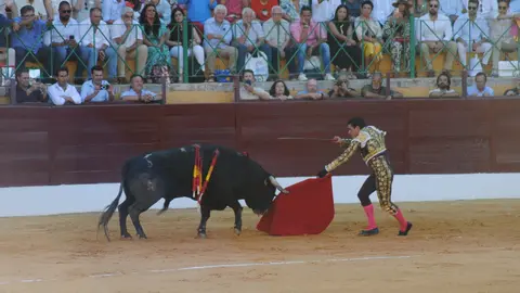 Toros en La Línea15