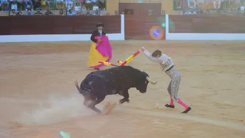 Toros en La Línea17