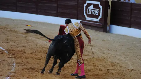 Toros en La Línea18