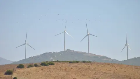 La Inspecci&oacute;n de Trabajo da la raz&oacute;n a CCOO sobre el accidente laboral en Tarifa