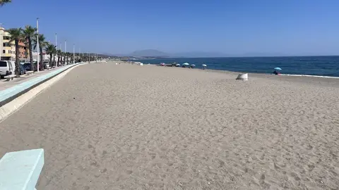 M&aacute;s de 10.000 kilos de algas retiradas de las playas de La L&iacute;nea