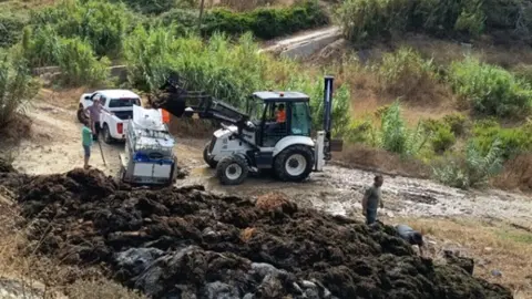 Retiran alga invasora en Tarifa para emplearla como bioestimulante agr&iacute;cola