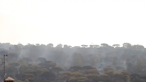 Incendio de Tarifa 2