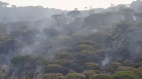 Incendio de Tarifa 3
