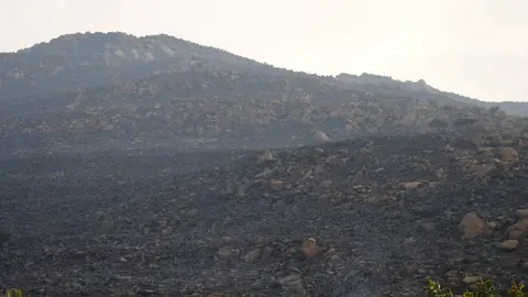 Parte de la zona afectada por el incendio de Tarifa en el paraje de La Peña 