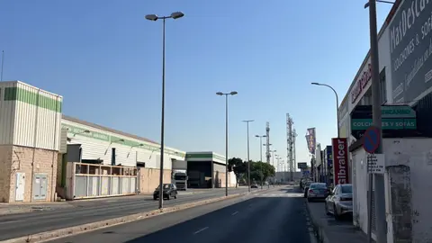 Palmones