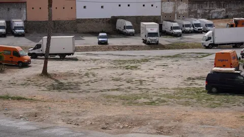 Limpieza zona de Carteya 3