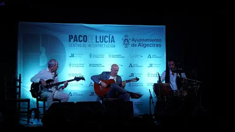 Concierto Salvador Andrades 12