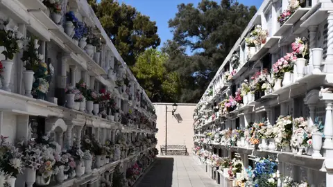 El cementerio de San Miguel, en San Roque