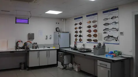 Dependencias del Puesto de Control Fronterizo de Algeciras
