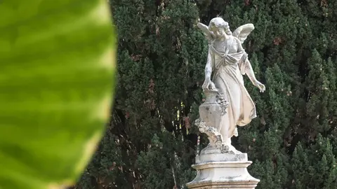 Familias y fieles rinden homenaje en el Cementerio Antiguo el 1 de noviembre_13